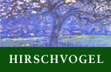 Hirschvogel